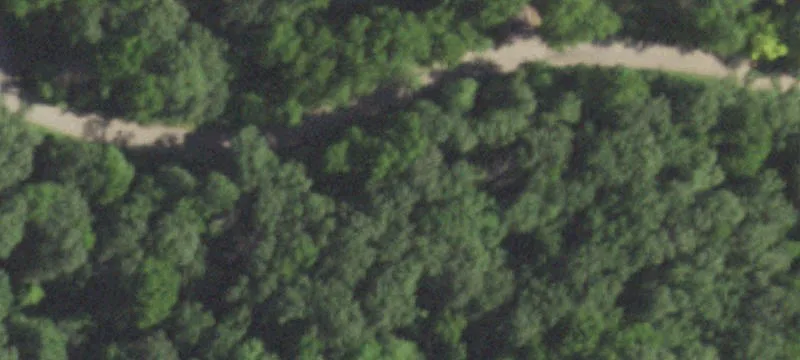 Improved Wooded Building Lot