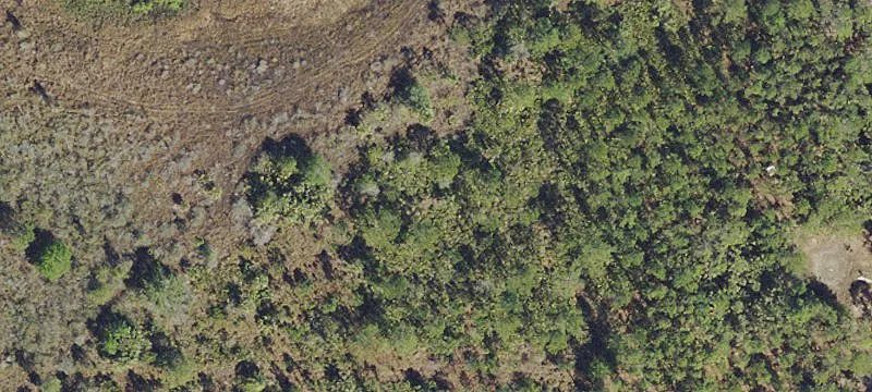 Private Wooded Land Parcel