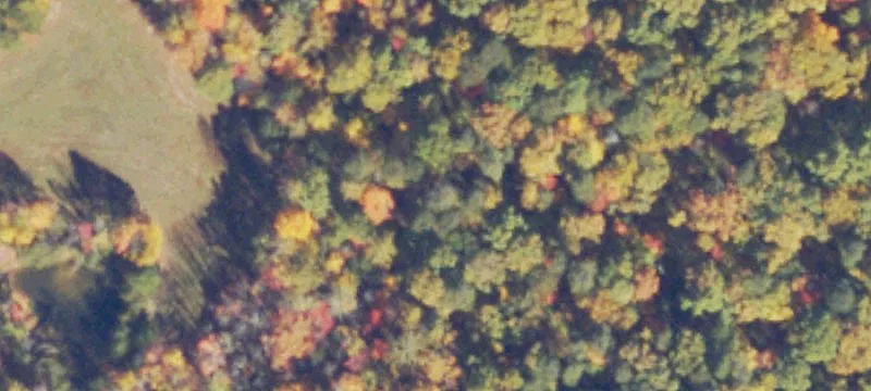 Wooded Land Parcel with Perc Sites