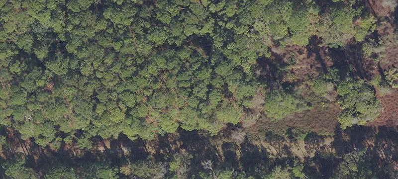 Wooded Residential Home Lot
