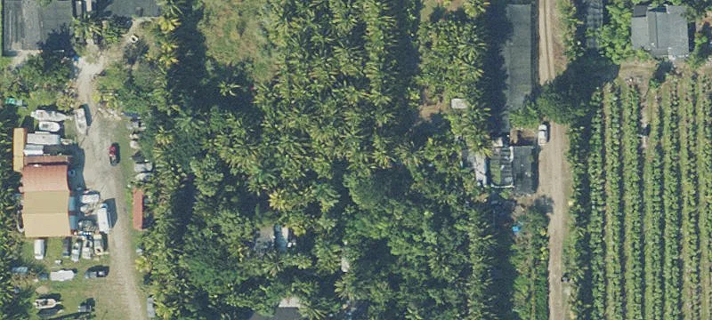 Agricultural Land for Lease