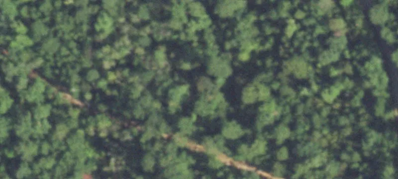 Unimproved Hunting Land Acreage