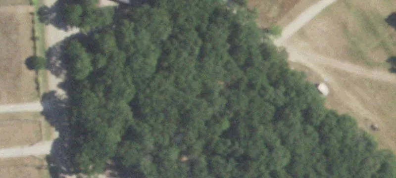 No-HOA Country Homesite Land