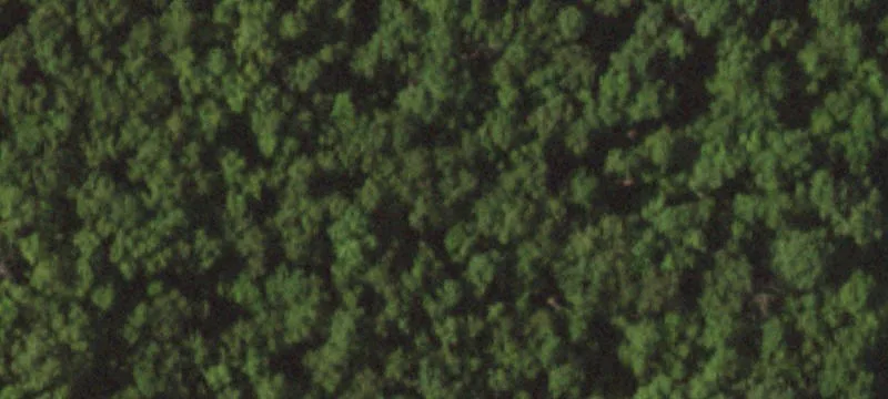 Farm Property with Large Shop