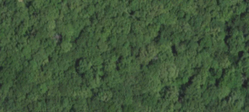Fenced Agricultural Land with Outbuilding