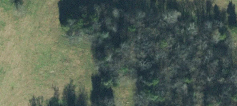 Agricultural Land with Home and Barn