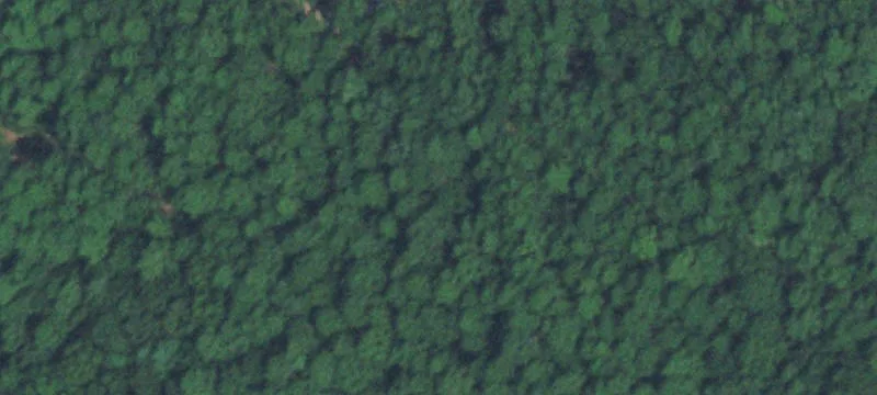 Wooded Recreation Land Parcel