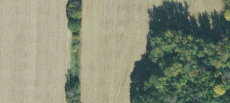 Land Development Parcel with Timber