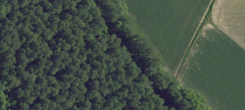 Riverfront Homesite with Road Frontage