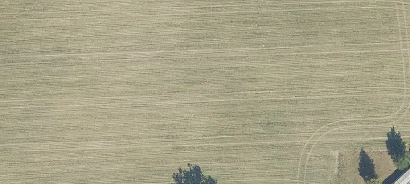 Fenced Pasture with Fixer-Upper Mobile