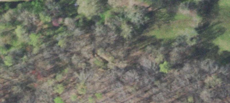 Wooded Waterfront Home Site Land