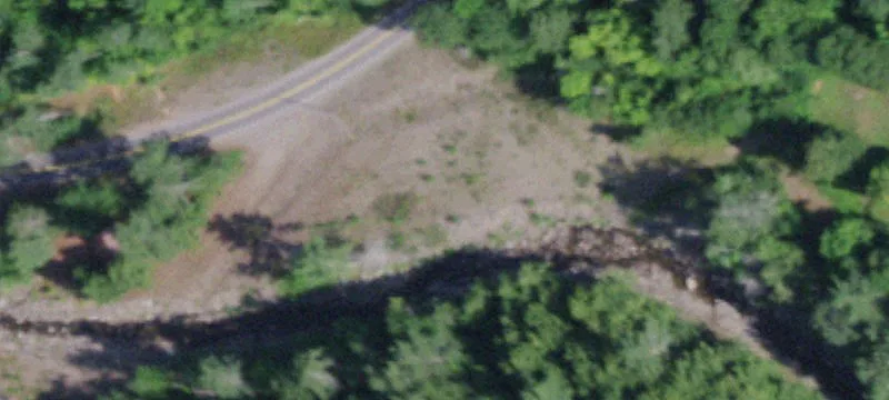 Waterfront Forest Land Parcel