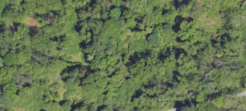Wooded Development Land