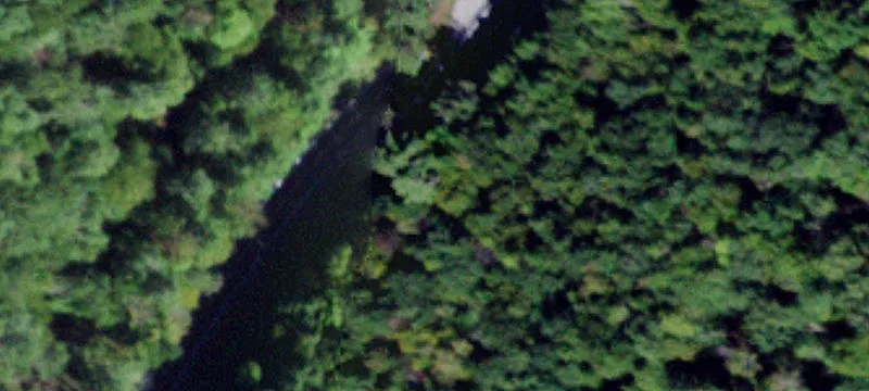 Wooded Corner Home Lot