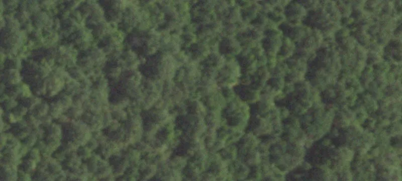 Timbered Hunting and Recreation Land