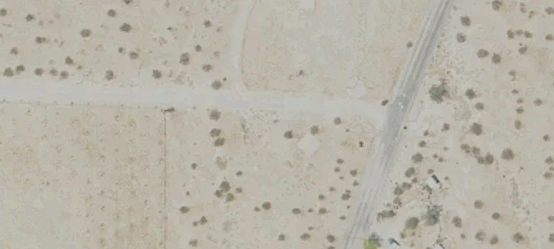 Fenced Date Palm Farmland