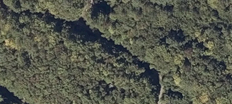 Wooded Building Lot with Driveway