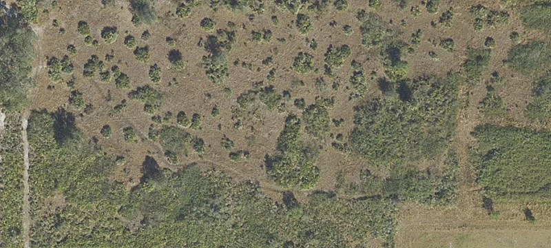 Wooded Residential Land Parcel