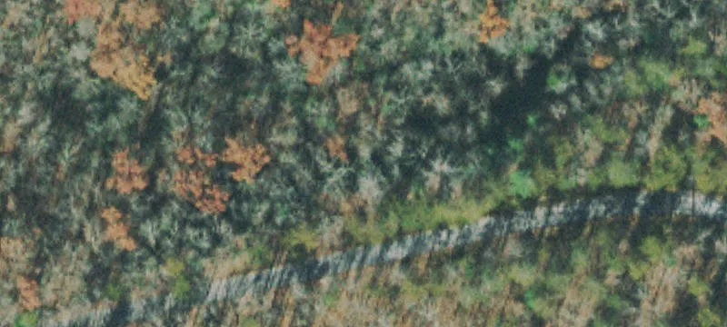 Specialty Property Lot