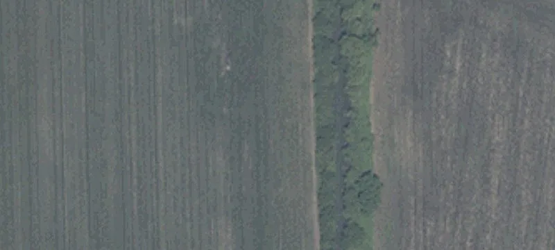 Land Lot with Wooded Views