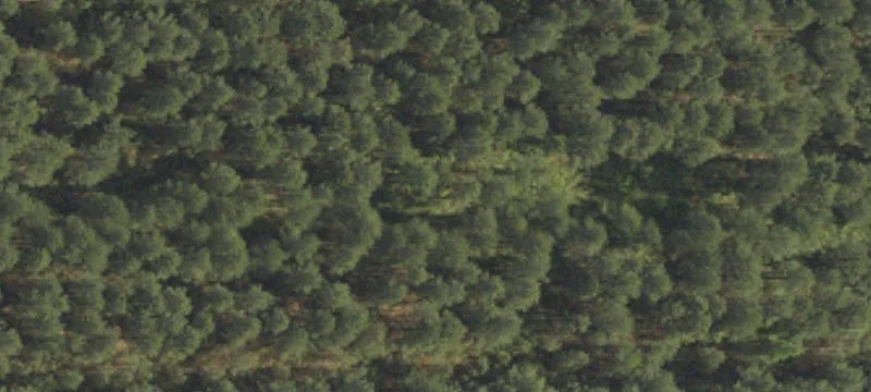Turn-Key Recreational Hunting Estate