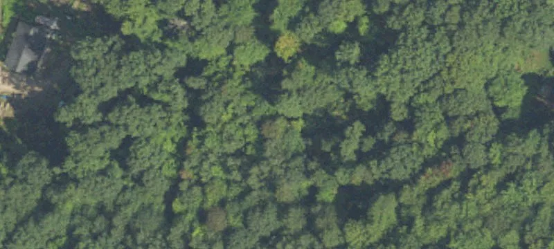 Residential Recreational Acreage Parcel