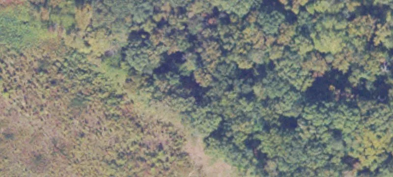 Undeveloped Land Parcel