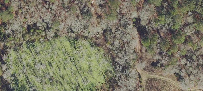 Private Acreage with Conservation Backing
