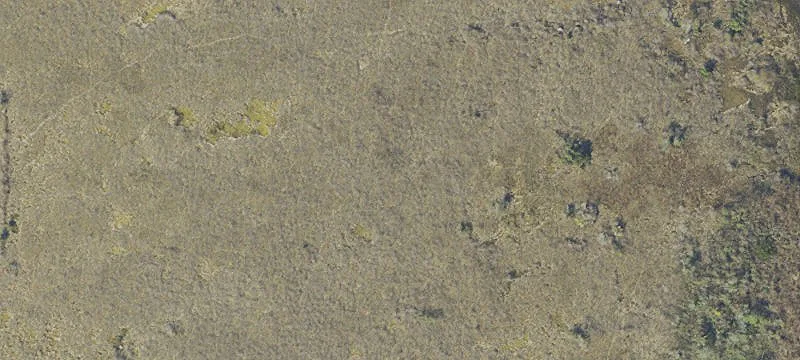 Clean-Cleared Agricultural Land
