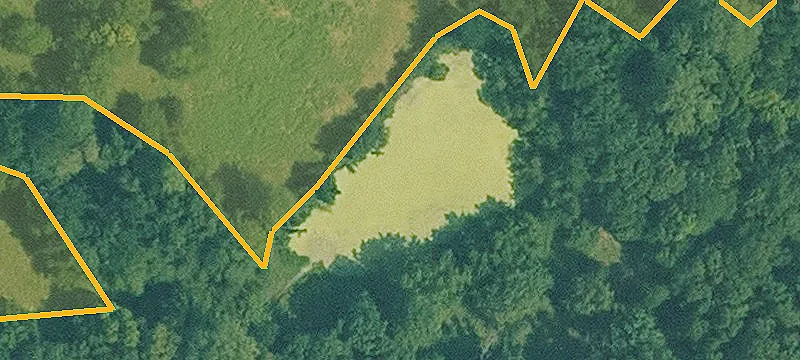 Treed Residential Development Lot