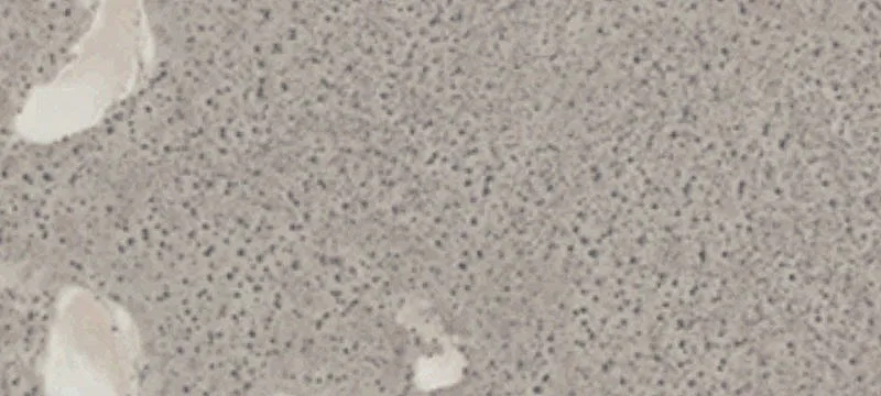 Residential Land Parcel