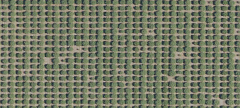 Farmland Off County Road 95