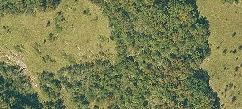 Hunting and Pasture Farm Property