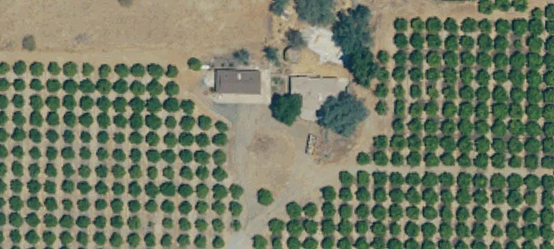 Citrus Ranch Farmland Opportunity