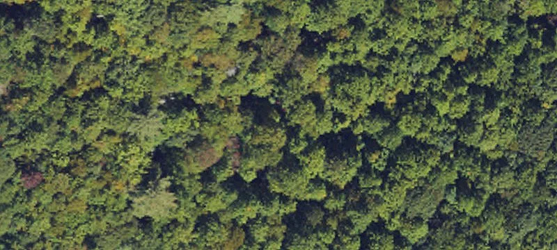 Mountain Homesite in Sapphire Valley
