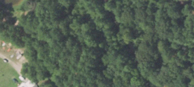 Cross-Fenced Ranch Property