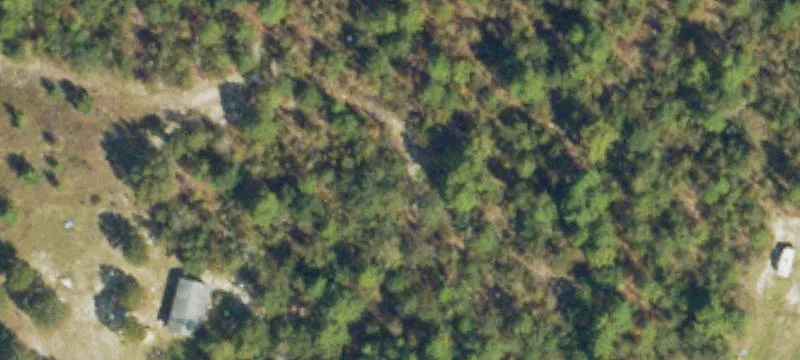 Wooded Country Land Parcel