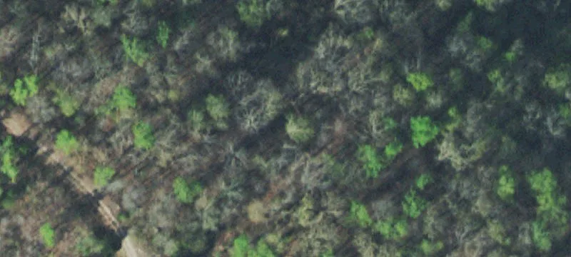 Lakefront Residential Land Lot