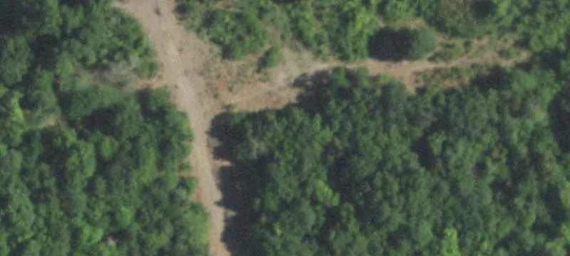 Wooded Residential Land Tract