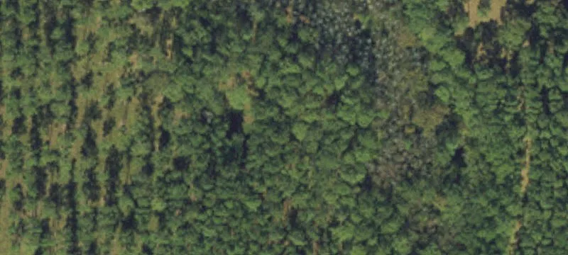 Residential Waterfront Homesite