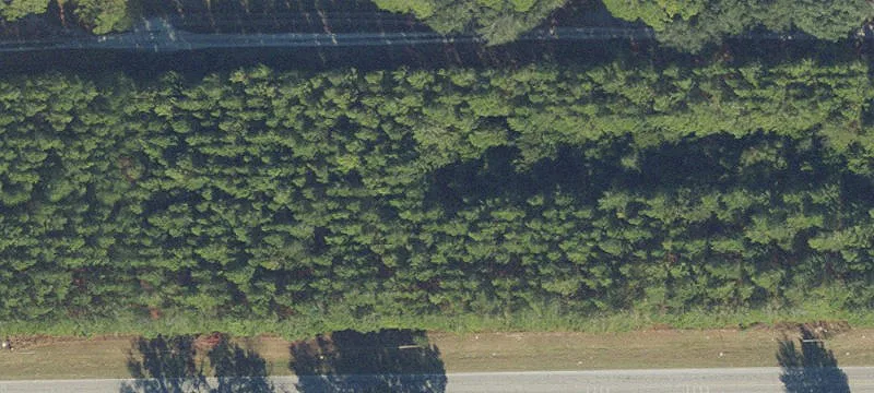 Wooded Timberland With Road Frontage