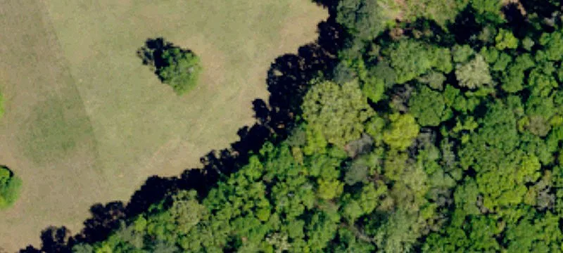 Wooded Residential Land Tract