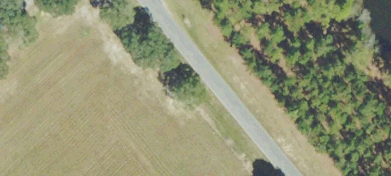Raw Wooded Land Tract