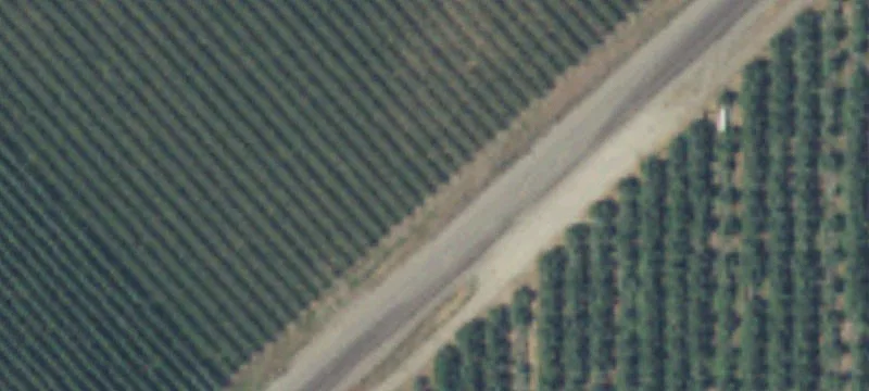 Income-Producing Orchard Land