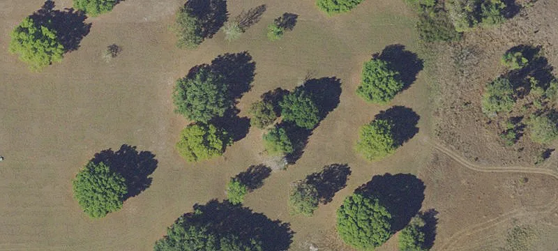 Gated Equestrian Homesite Land