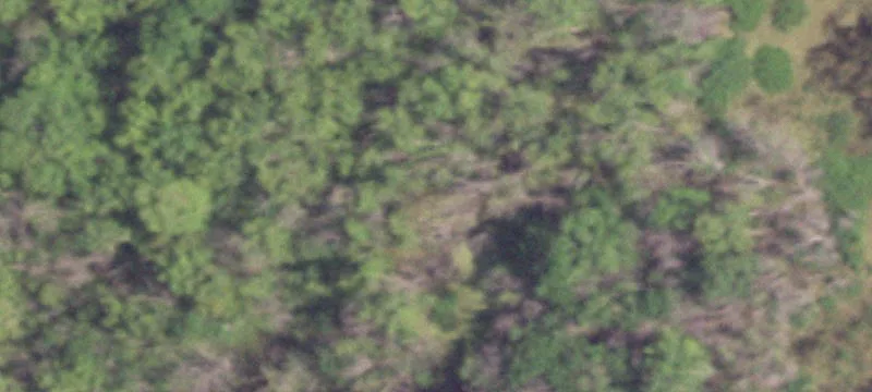 Hunting Land with Two Ponds