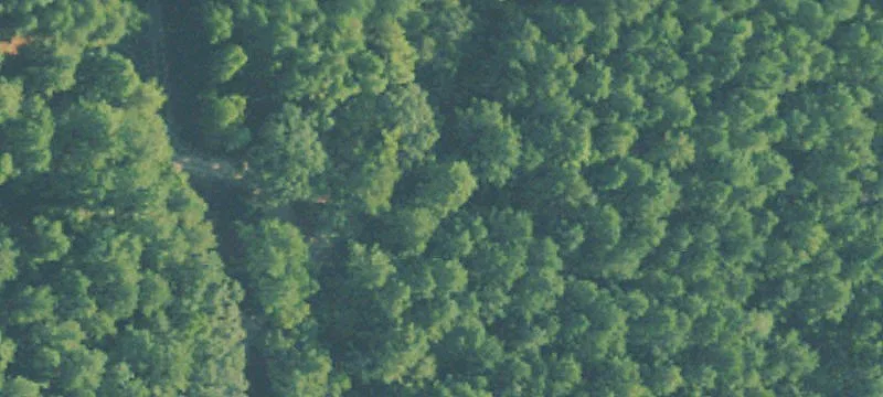 Farmland Tract for Sale