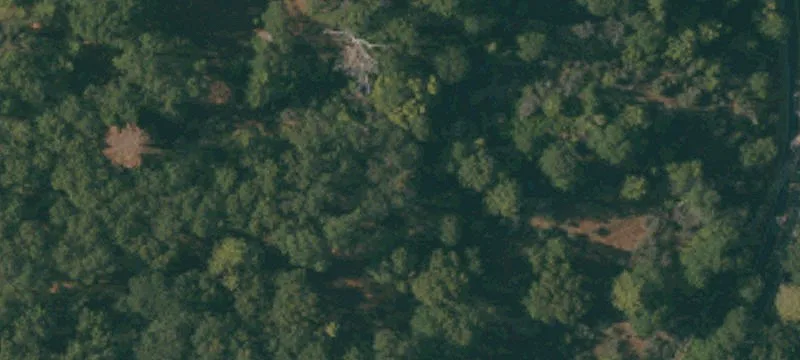 Farmland with Solar Potential