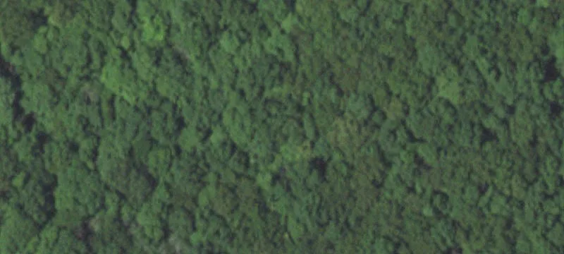 Hunting Land with Stocked Ponds