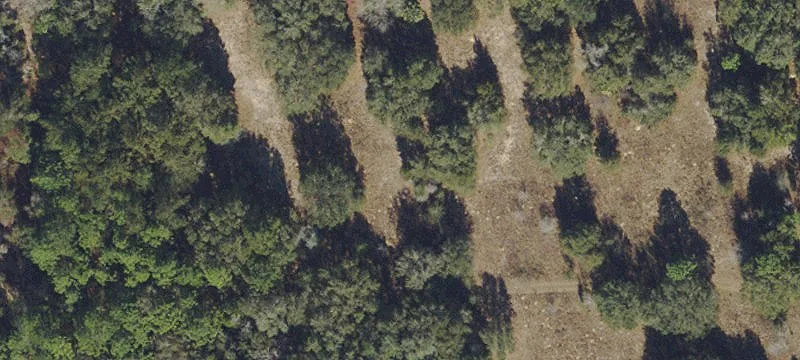 Residential Land Lot